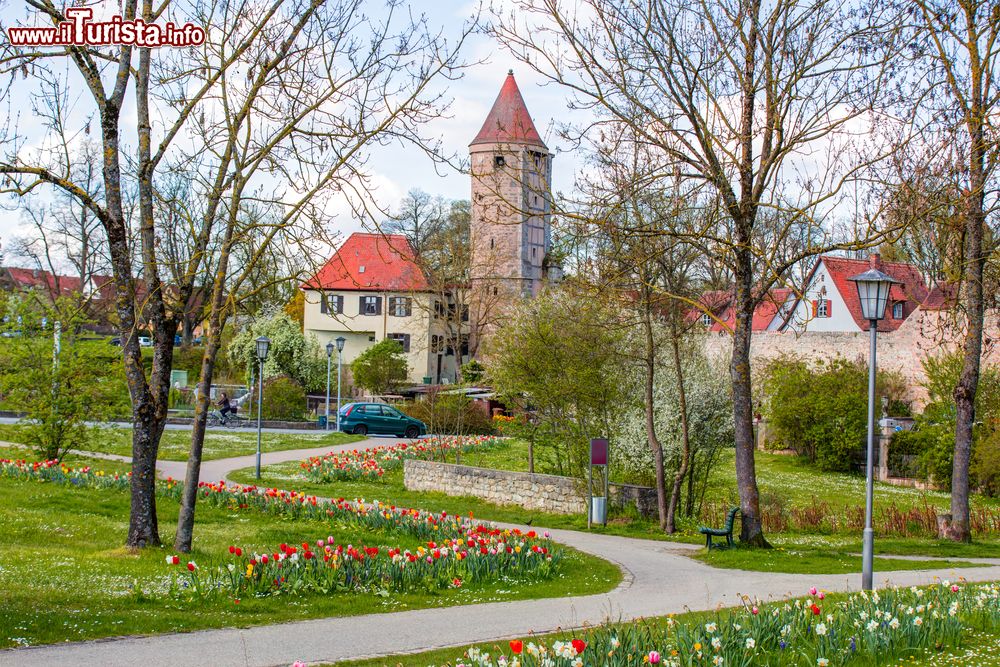 Immagine Aiuole fiorite con tulipani nella cittadina di Dinkelsbuhl, Baviera, Germania.