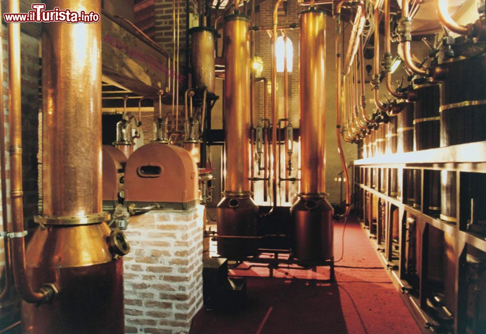 Immagine Alambicchi all'interno delle Distillerie Poli famose per la produzione di grappa a Schiavon, Veneto
