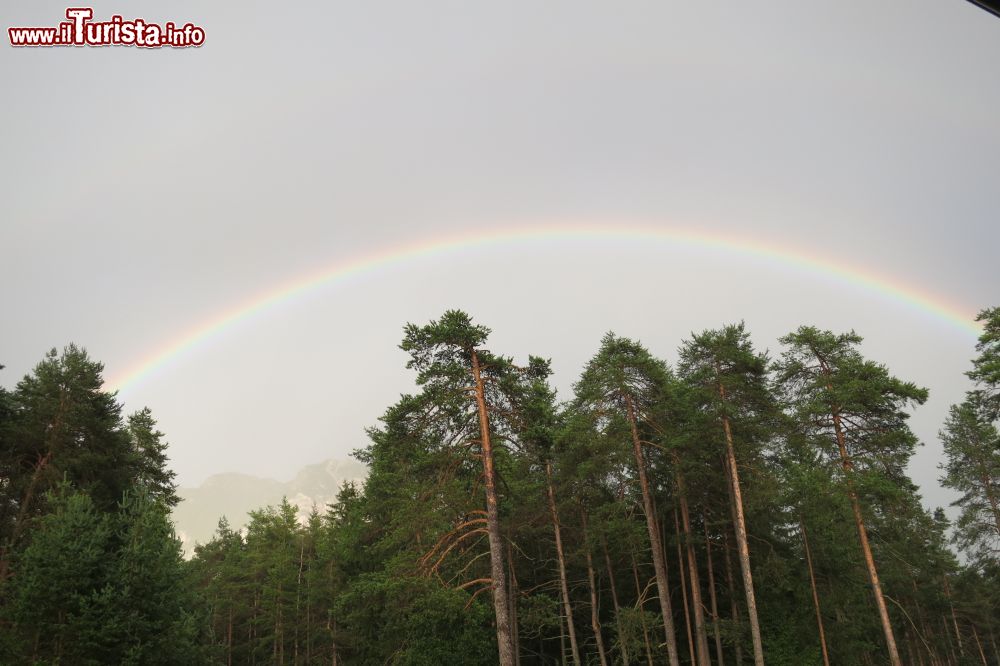 Immagine Alberi a San Vigilio di Marebbe, Trentino Alto Adige. Un caratteristico arcobaleno ad arco è perfetta cornice per la vegetazione fascinosa che si trova in questo territorio esclusivo della Val Badia.