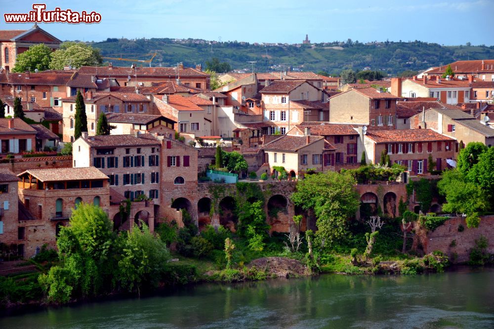 Immagine Albi è una cittadina del sud della Francia. Conta circa 52.000 abitanti ed è il capoluogo del dipartimento del Tarn.