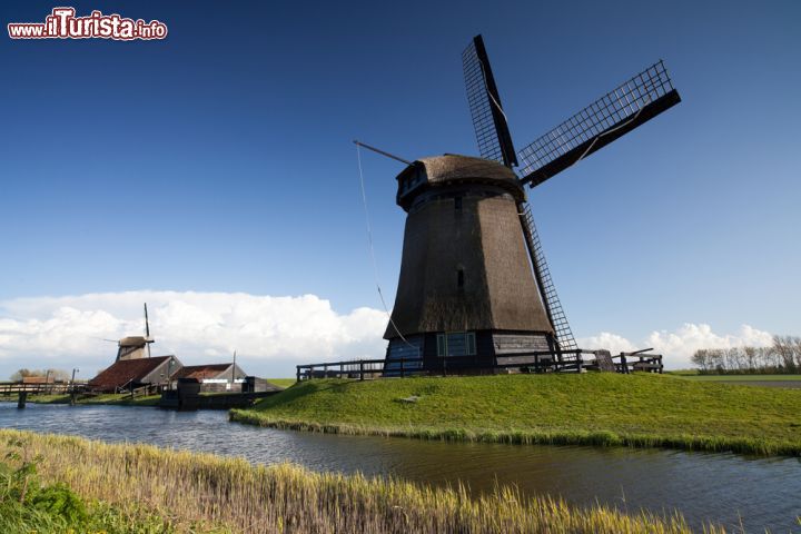 Immagine I dintorni della città di Noord in Olanda - Quando a fine giornata il sole si avvia verso il crepuscolo, si ha un gioco di luci che nella campagna olandese regala uno spettacolo che è un mix tra inquietudine e meraviglia. Quei mulini a vento, così grandi rispetto all'ambiente circostante, riescono comunque a non essere mai stonati e anzi, a dare sempre e comunque un valore aggiunto - © Luboslav Tiles / Shutterstock.com