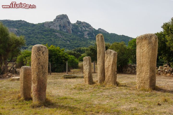 Immagine I menhir dell'allineamento di Stantari, presso l'area megalitica di Cauria, nella zona di Sartène, in Corsica.