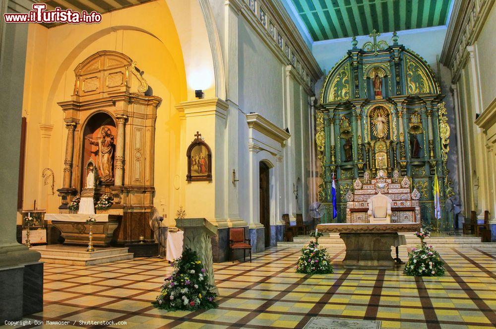 Immagine L'altare della navata centrale nella cattedrale di Nostra Signora dell'Assunzione a Asuncion, Paraguay  - © Don Mammoser / Shutterstock.com