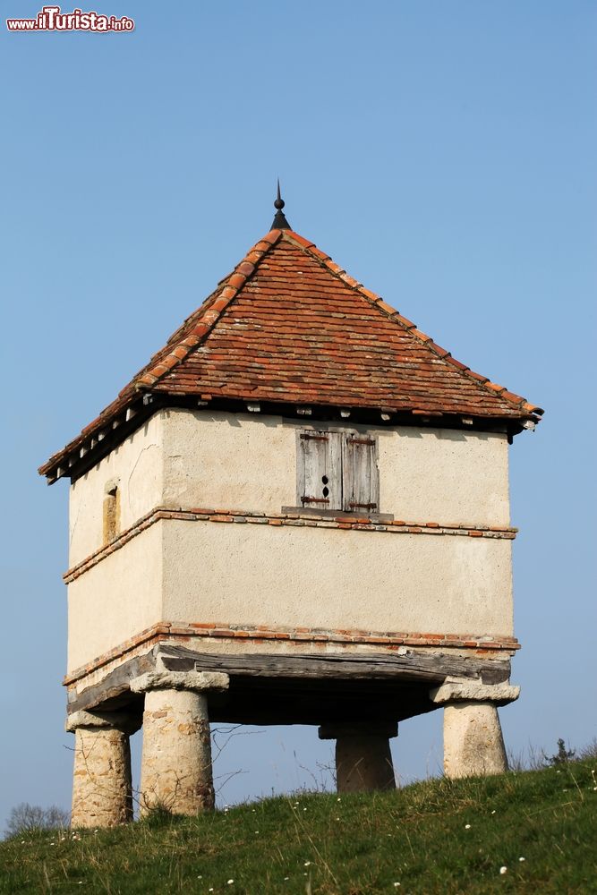 Immagine Un'antica colombaia nella città di Cluny, Francia. Questa tipologia di piccola costruzione era destinata all'allevamento dei colombi.