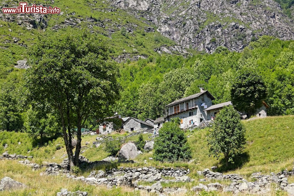 Immagine Antiche baite in pietra nella Val Codera, Valtellina, Lombardia.