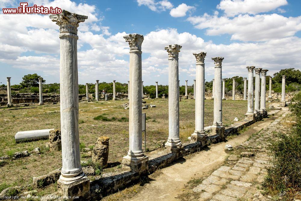 Immagine Antiche colonne nella città storica di Salamis (Salamina) nei pressi di Famagosta, Cipro Nord - © Anton Kudelin / Shutterstock.com