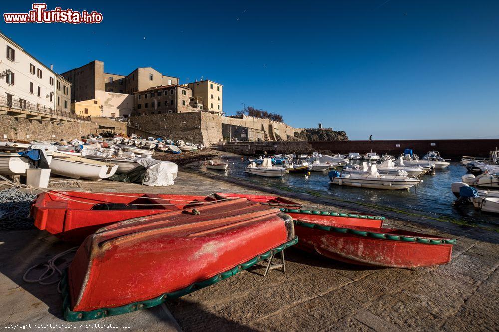 Immagine L'antico porto peschereccio di Piombino con la Cittadella, Toscana. Questo complesso architettonico sorge nell'estremità sud ovest della città. In origine fortificata e munita di porta (oggi scomparsa), comprendeva la residenza dei principi, una cappella gentilizia, una cisterna e le strutture adibite alle servitù - © robertonencini / Shutterstock.com