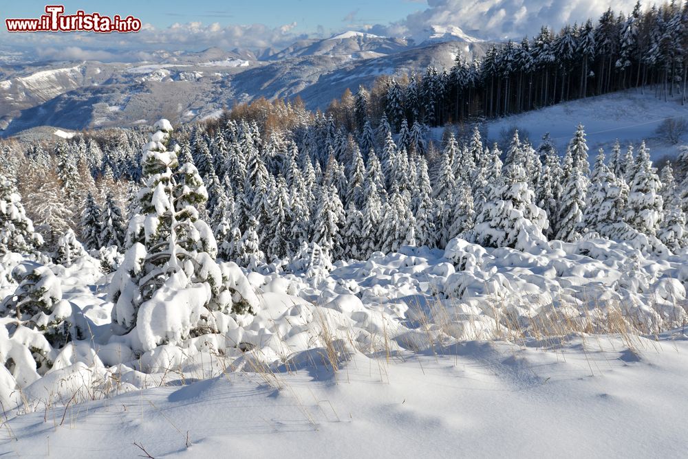 Immagine Appennino modenese in iverno siamo nella zona di Frassinoro