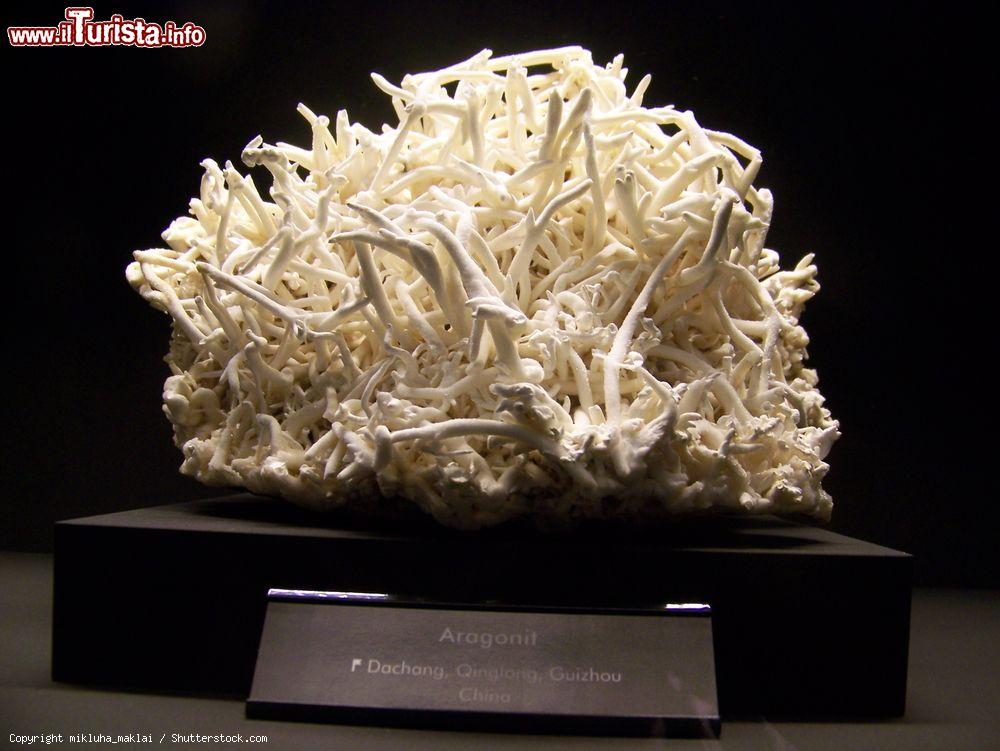 Immagine Aragonite Specimen al Museo Terra Mineralia di Freiberg, Germania. Oltre 80 mila esemplari di minerali provenienti da tutto il mondo con una grande varietà di colori e forme sono esposti in questo museo che ha sede al castello Freudenstein. Appartengono al collezionista privato Erika Pohl-Stroher che li ha raccolti in oltre 60 anni - © mikluha_maklai / Shutterstock.com