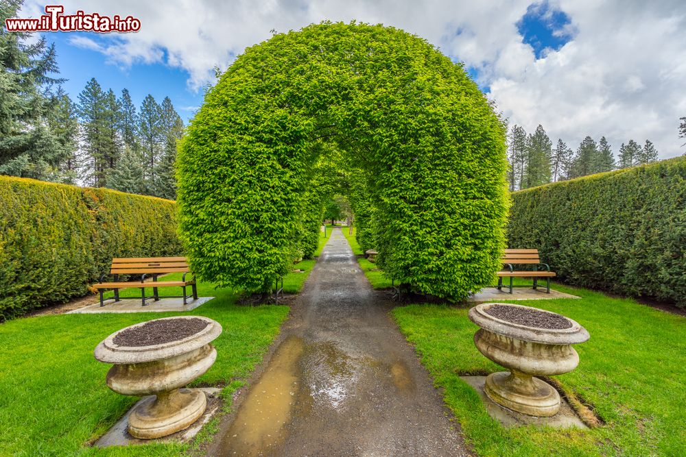 Immagine Archi di vegetazione nel Manito Park e Botanical Gardens a Spokane, Washington, Stati Uniti d'America. Questo parco pubblico di 90 ettari è aperto tutti i giorni. Al suo interno ci sono alberi, giardini botanici e un suggestivo giardino d'inverno.