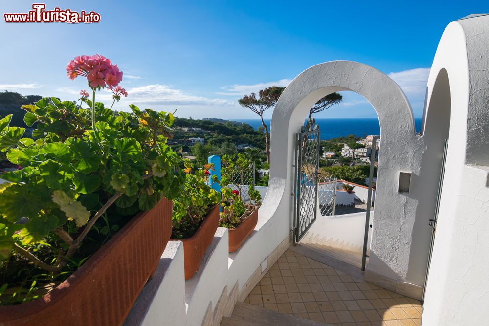 Immagine Architettura tradizionale in una villa di Casamicciola Terme, isola d'Ischia. Questa località ha il più elevato numero di sorgenti termali curative sia nel mare che nell'interno.