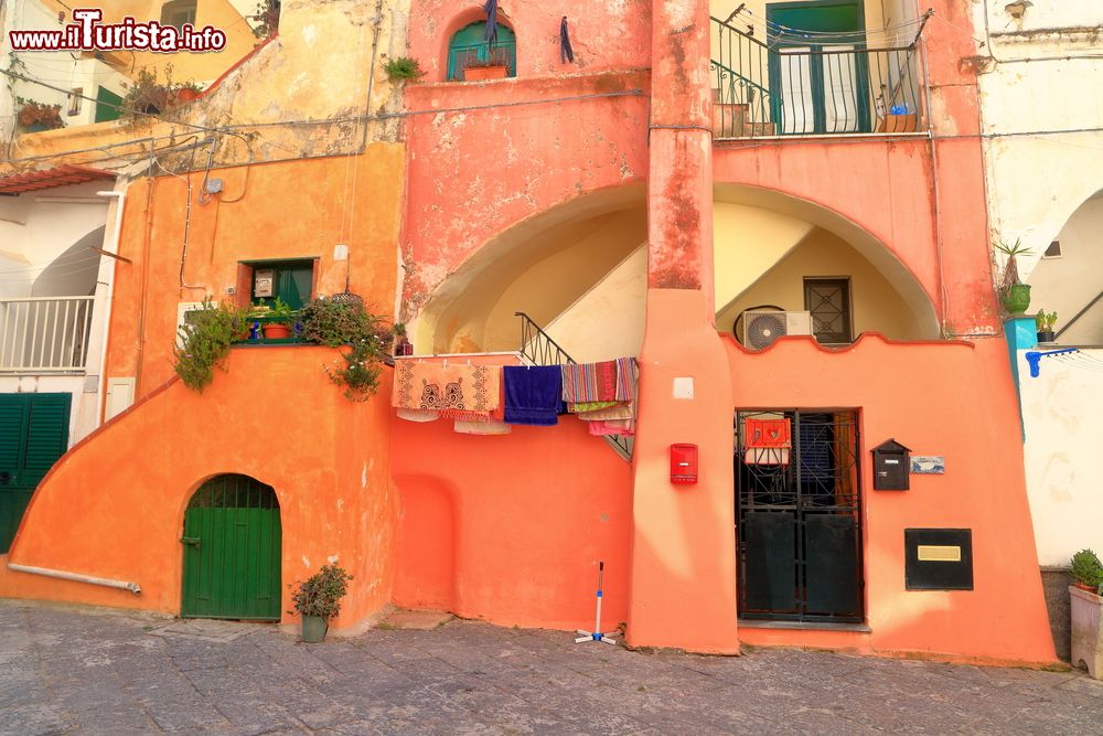 Immagine L'area di Casale Vascello con le tradizionali abitazioni sull'isola di Procida, Campania. E' un antico borgo fortificato situato ai piedi di Terra Murata; ancora oggi conserva il fascino dell'epoca per l'architettura delle sue case colorate.