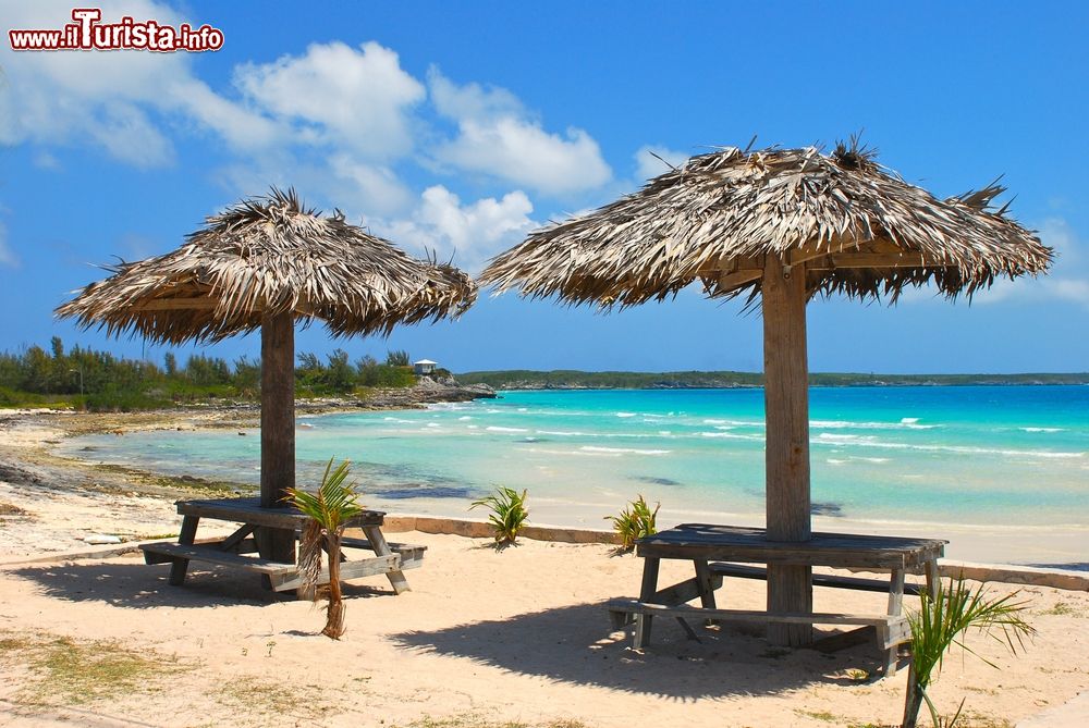 Immagine Area relax su una spiaggia dell'isola di Eleuthera, Bahamas. 