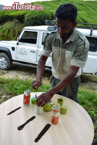 Immagine Assaggio di tè, Cameron Highlands: le visite guidate alle piantagioni si concludono sempre con un assaggio di alcune specialità di tè prodotte nella regione, dove si può imparare ad apprezzarne l'aroma e le distinte caratteristiche.