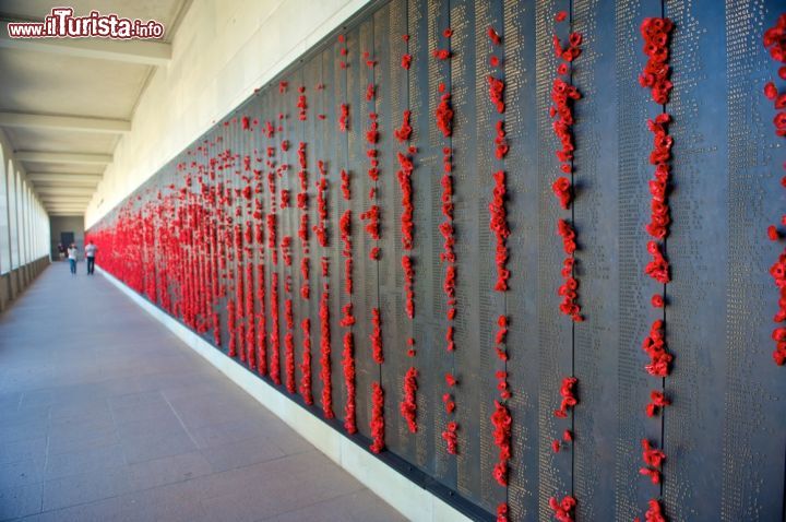 Immagine War Memorial a Canberra, Australia - Un edificio che mette a disposizione un sostegno per i caduti in guerra o che hanno combattuto per la Nazione rimanendo feriti, di sicuro è un polo che funziona e che denota anche una certa sensibilità. Questa, si evince in tutta la sua profondità osservando questa immagine, fatta di simbolici fiori rossi che ricordano le tracce ematiche lasciate dai soldati nelle trincee - © Nadezda Zavitaeva / Shutterstock.com