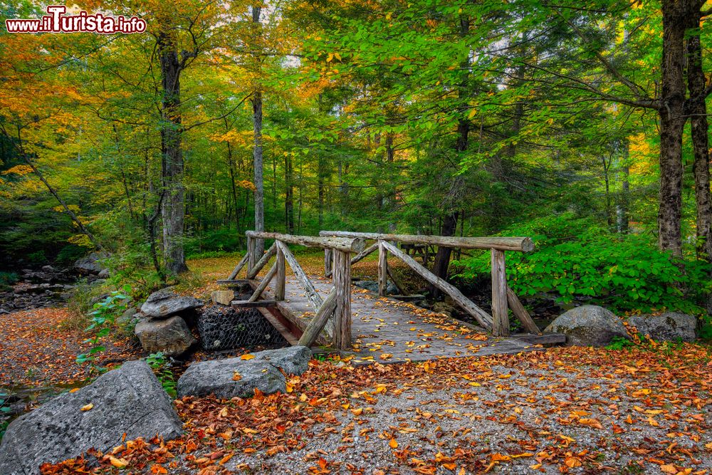 Immagine Autunno al Macedonia Falls State Park a Kent, Connecticut, USA. Si tratta di un'area ricreativa pubblica che si estende per circa 930 ettari: qui ci si può accampare, fare pic-nic, pescare e fare escursioni.