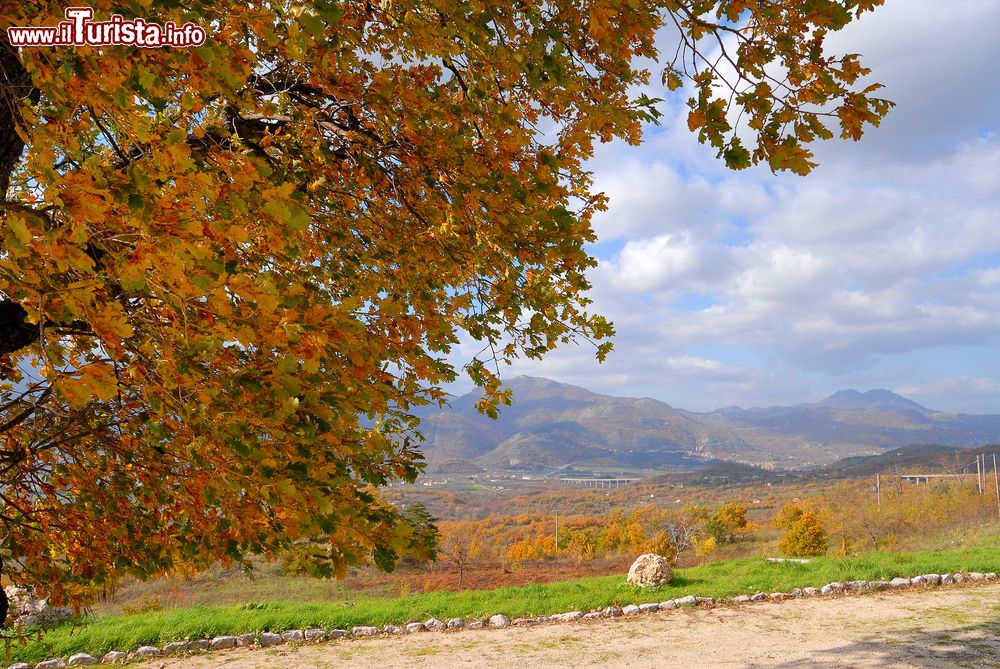 Immagine Autunno nei pressi del lago di Laceno, provincia di Avellino, Campania: sfumature rosse e arancione per il foliage degli alberi attorno al bacino di origine carsica.