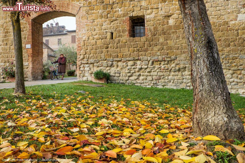 Immagine Autunno nel borgo di Buonconvento, Siena, Toscana. Foglie dalle tonalità gialle, arancio e rosse ricoprono aiuole e prati del borgo - © robertonencini / Shutterstock.com