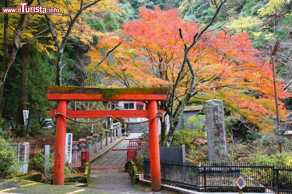 Immagine Autunno nella città di Osaka, Giappone. Foliage autunnale nel parco di un tempio cittadino.