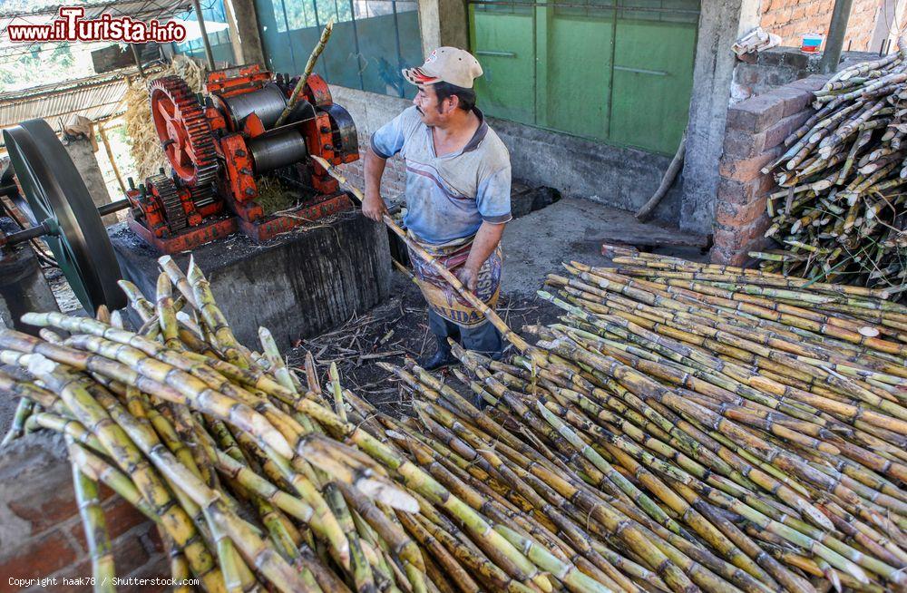 Immagine Un uomo lavora la canna da zucchero in un'azienda nei pressi di Piura, Perù - © haak78 / Shutterstock.com