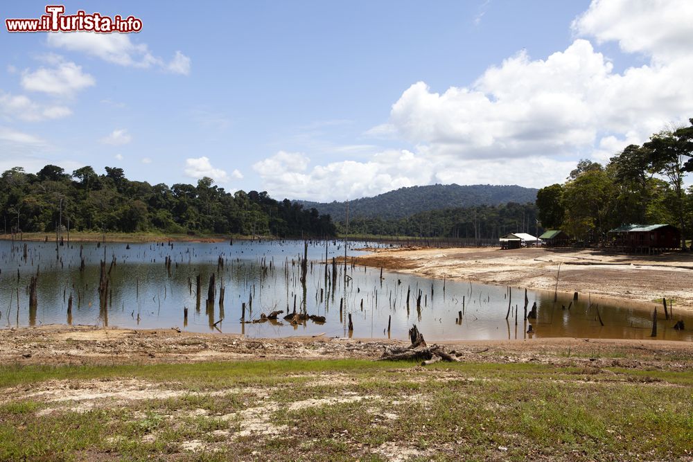 Immagine Bacino idrico di Brokopondomeer in Suriname, Sud America. 