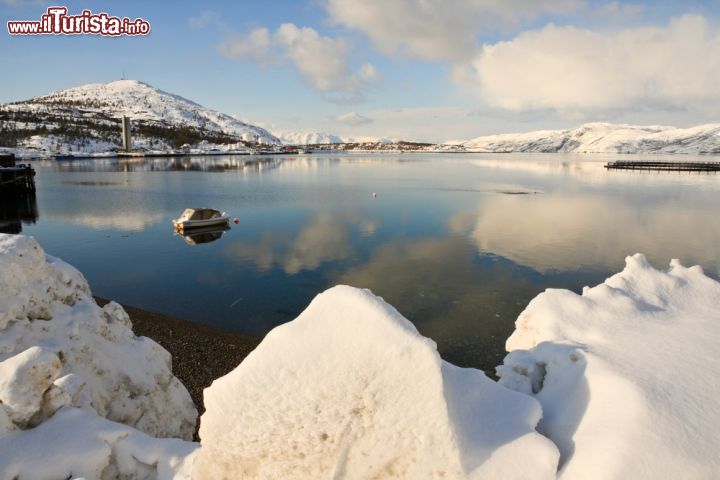 Immagine Situata in un'ottima posizione e grazie alla corrente del golfo, Alta vanta condizioni climatiche decisamente favorevoli con poche precipitazioni atmosferiche, inverni gradevoli e estati calde. In questa immagine, una suggestiva veduta invernale della baia che contraddistingue la città norvegese - © Sue Leonard Photography / Shutterstock.com