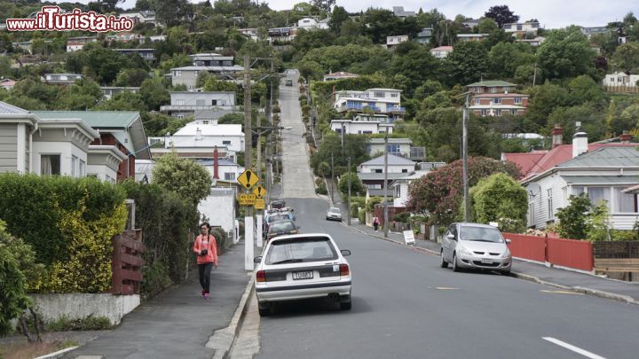 Immagine Baldwin Street, la più ripida strada del mondo: si trova a Dunedin, Nuova Zelanda - © udeyismail / Shutterstock.com