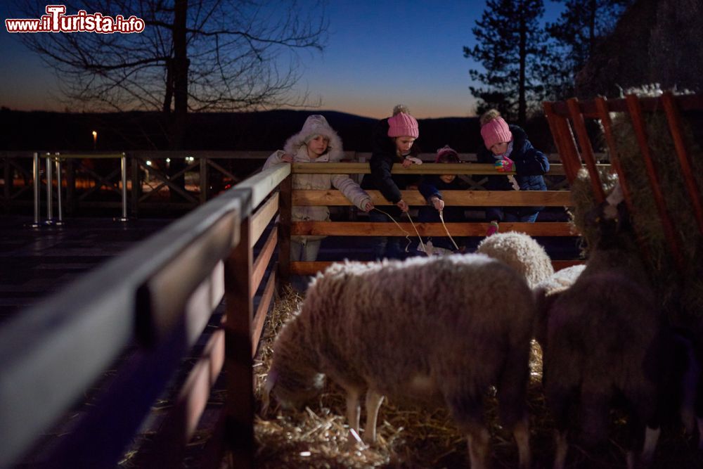 Immagine Alcuni Bambini in visita a Postumia durante il Natale