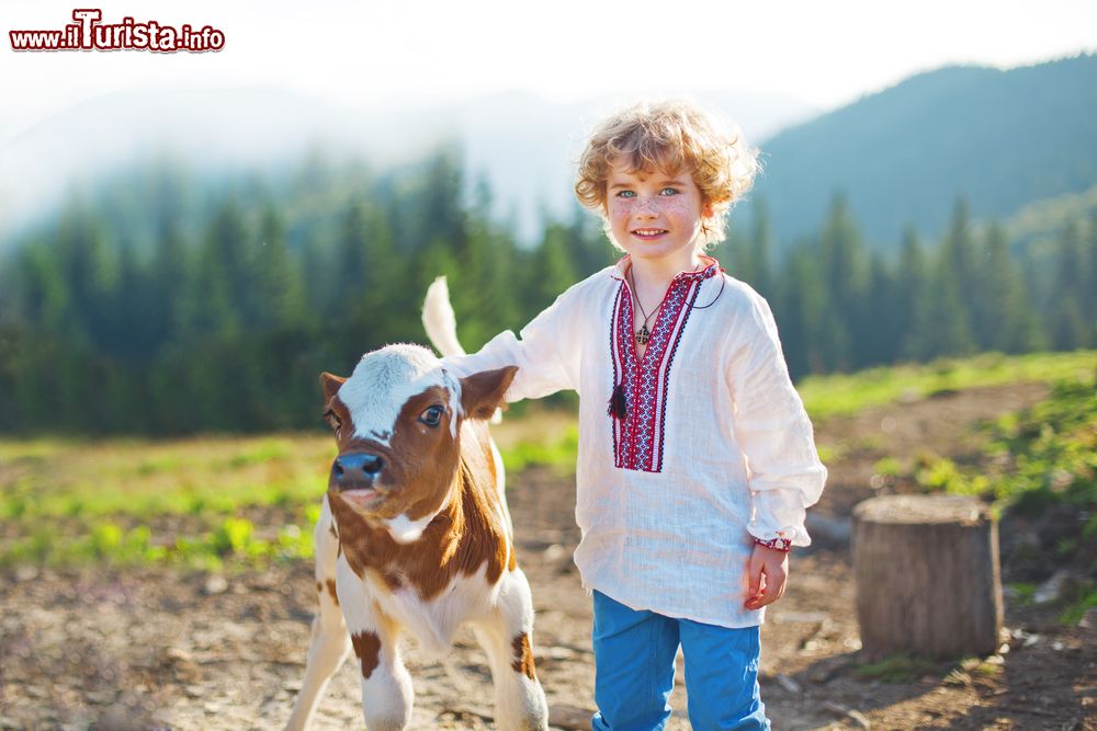 Immagine Bambino in una malga della Val di Cembra in Trentino