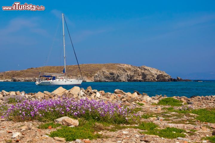 Immagine Barca ormeggiata nel mare di Delos, Grecia. Considerata in passato l'isola più sacra della Grecia, Delos è raggiungibile con una traversata di 45 minuti di traghetto da Mykonos. Le acque limpide e cristalline su cui si affaccia l'isola sono perfette per attraccare barche e yatch in totale relax