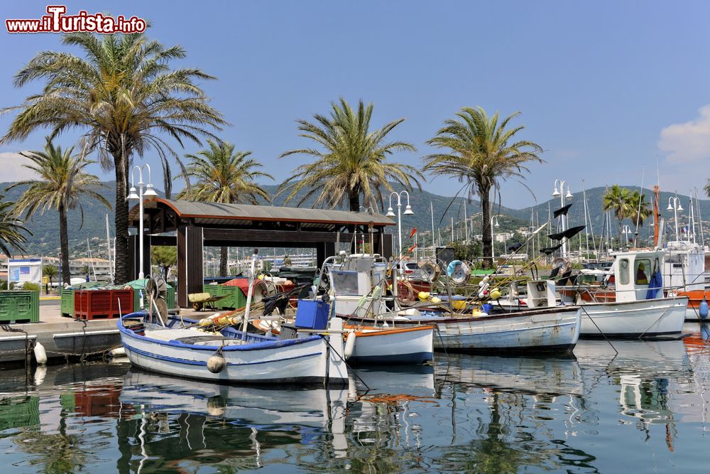 Immagine Barche da pesca al porto di Cavalaire-sur-Mer, sud della Francia. Oltre a svolgere un importantissimo ruolo nell'ambito dell'economia locale, questo porto è anche un eccellente approdo per le imbarcazioni private che solcano le acque del Mediterraneo.