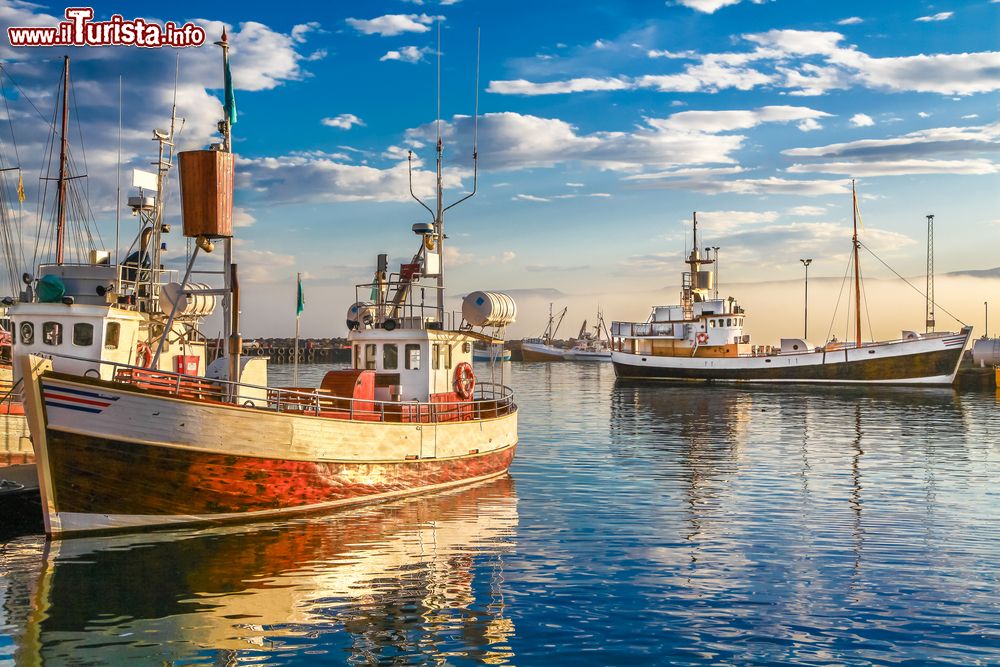 Immagine Le barche dei pescatori presso il porto di Husavik, nel nord dell'Islanda.