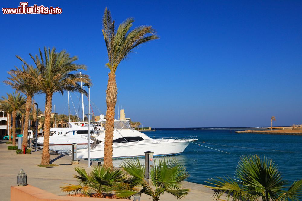 Immagine Barche e yachts ormeggiati a Port Ghalib, Egitto. Nella marina trovano posto oltre mille imbarcazioni.