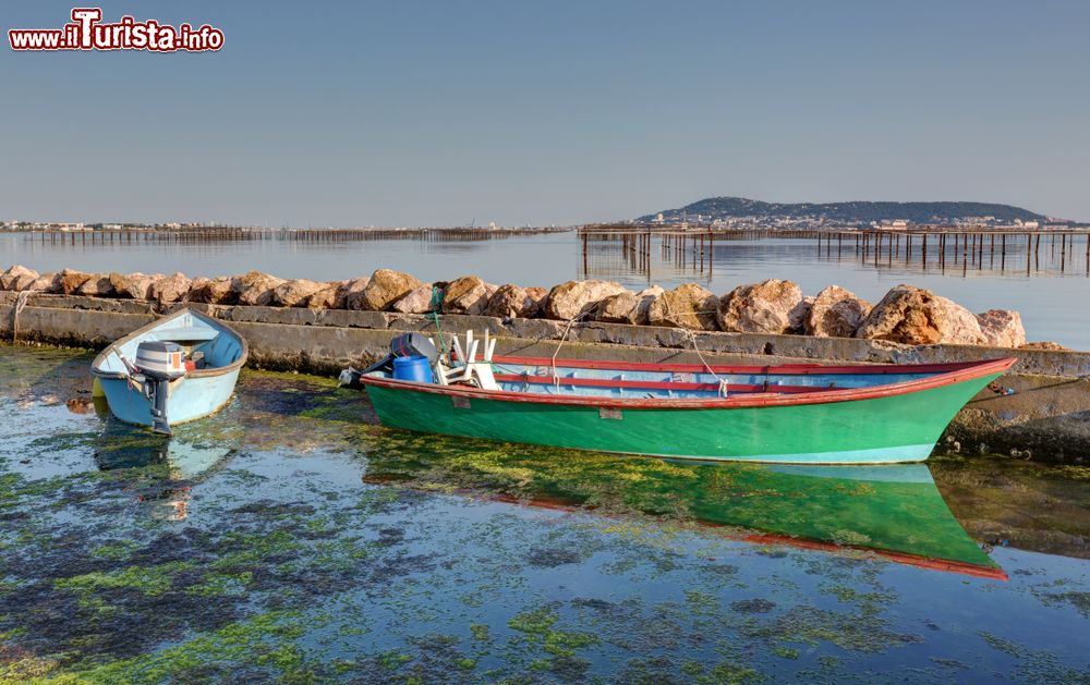 Immagine Barche nel porto di Bouzigues, località famosa per le ostriche in Linguadoca-Rossiglione