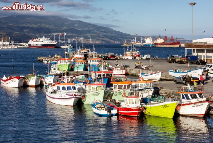 Immagine Barche ormeggiate al porto di Sao Miguel, isola delle Azzorre, Portogallo - © 205886062 / Shutterstock.com