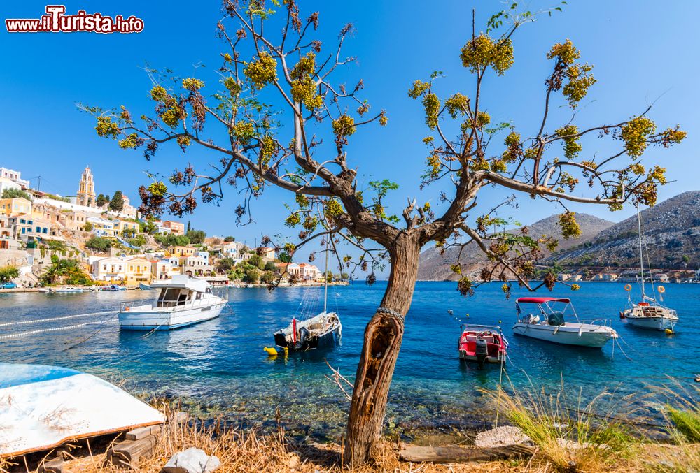 Immagine Barche ormeggiate lungo la costa dell'isola di Symi, Grecia. Questo splendido territorio del Mare Egeo è fra i più apprezzati dai turisti che cercano la tradizionale architettura del Dodecaneso con i profumi di origano e rosmarino.