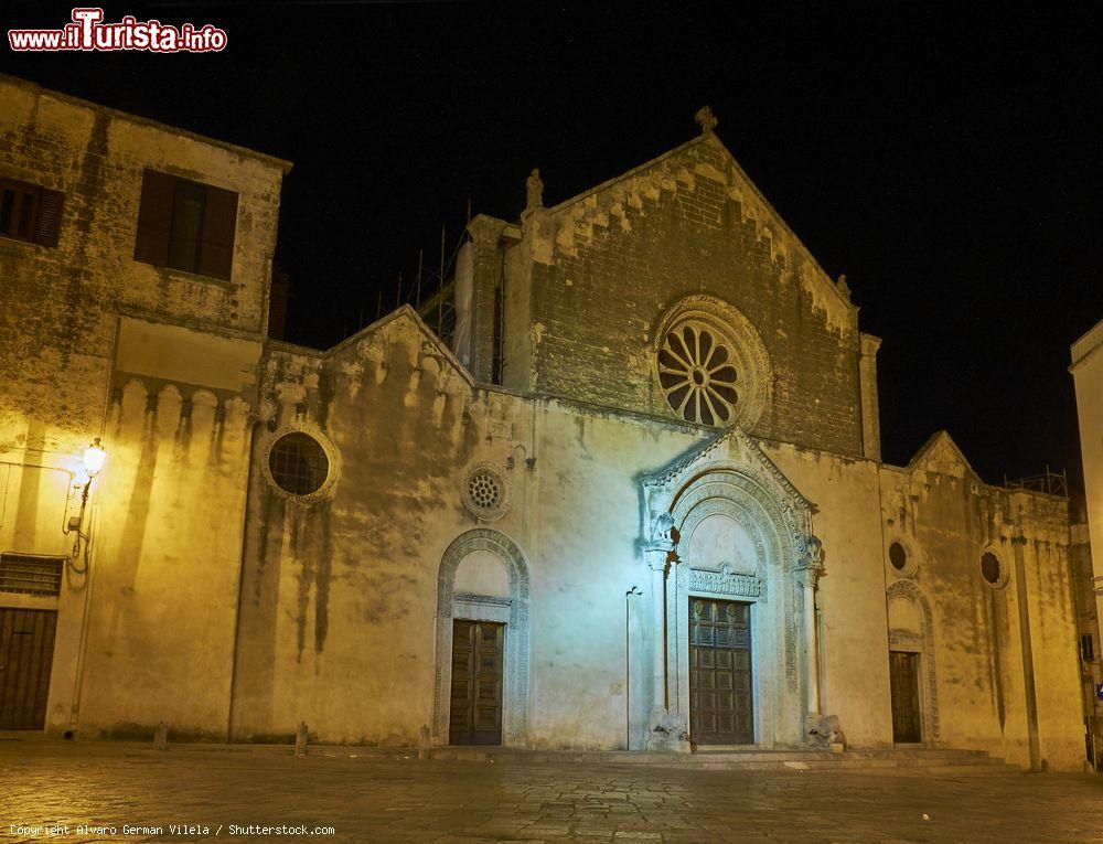 Immagine La Basilica di Santa Caterina d'Alessandria fotografata di notte a Galatina, Puglia - © Alvaro German Vilela / Shutterstock.com