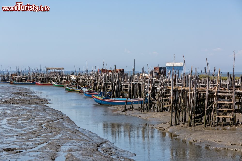 Immagine Bassa marea a Comporta in Portogallo. Siamo sulla osta dell'Alentejo