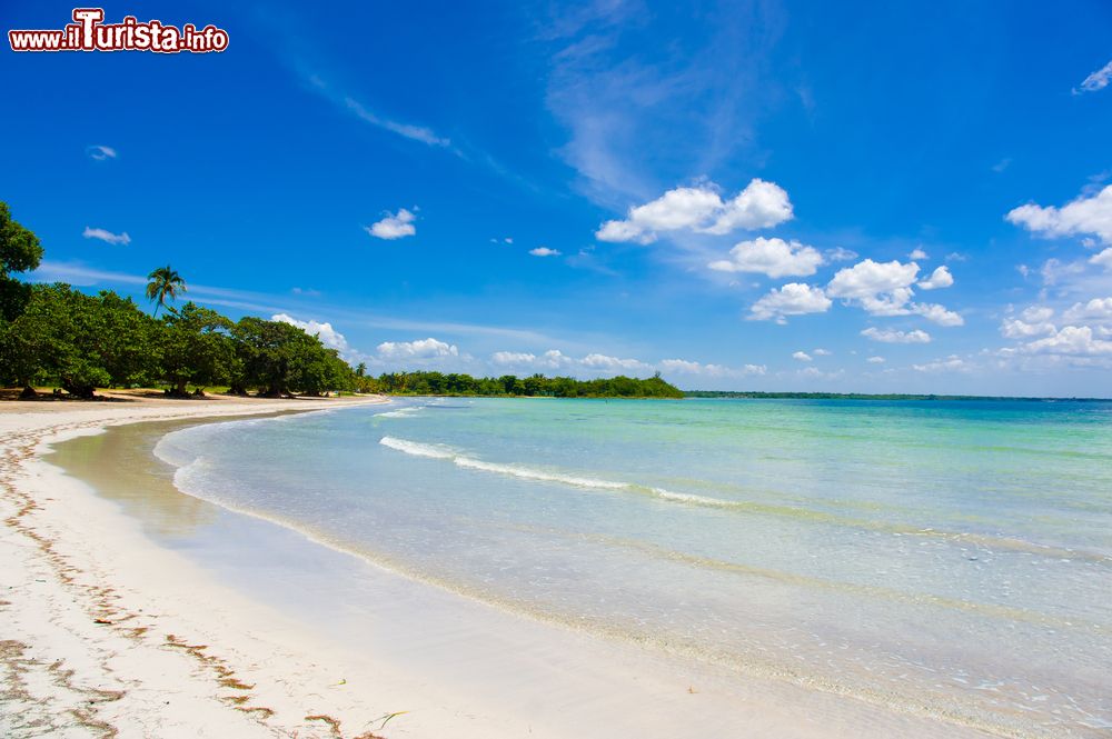 Immagine Bay of Pigs a Playa Giron, costa sud di Cuba. Situata a circa 150 km a su est della capitale L'Avana, questa bella baia è delimitata da barriere coralline, spiagge con mangrovie e zone paludose. Il nome deriva dalla varietà di pesci noti come Sufflamen verres che popolano le acque circostanti e che in spagnolo vengono chiamati "cochinos" usato anche come sinonimo di maiale.