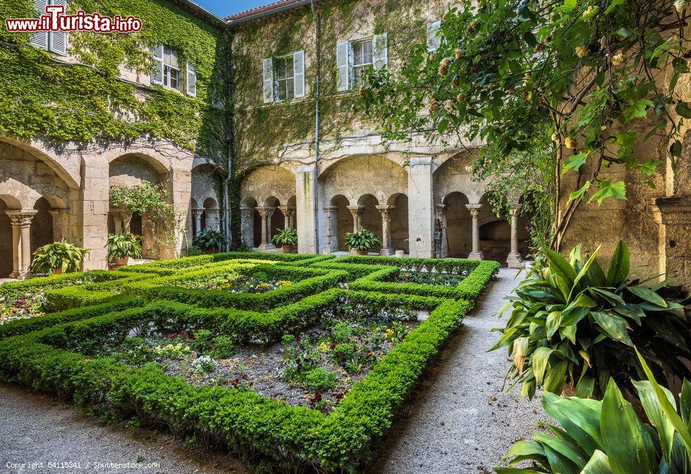 Immagine Il bel giardino all'ex centro psichiatrico del monastero di Saint-Paul de Mausole a Saint-Remy-de-Provence (Francia) - © 54115341 / Shutterstock.com