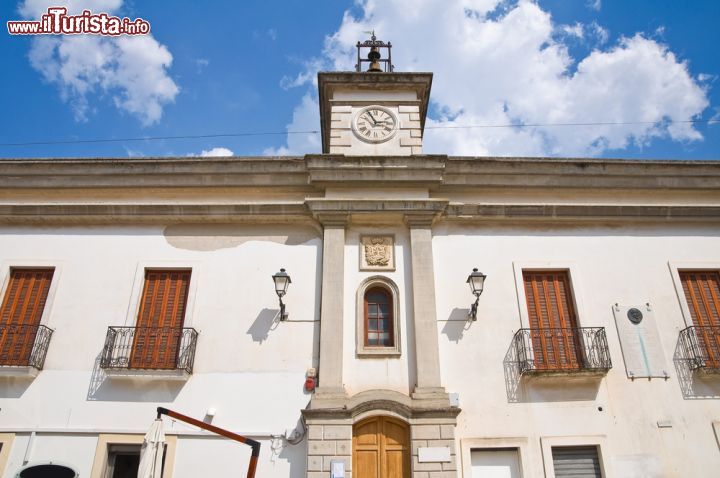 Immagine La facciata della Biblioteca Comunale di Mesagne - © Mi.Ti. / Shutterstock.com