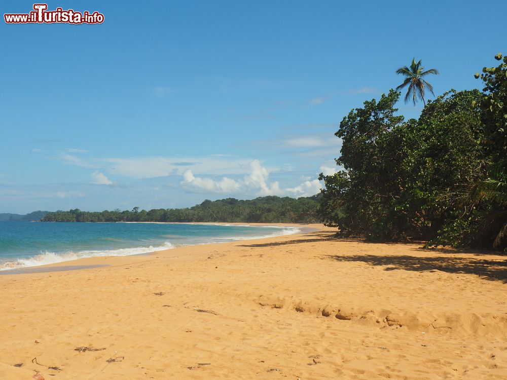 Immagine Bluff Beach sull'isola di Colon, Bocas del Toro, Panama. Qui ci sono le onde preferite dai surfisti.