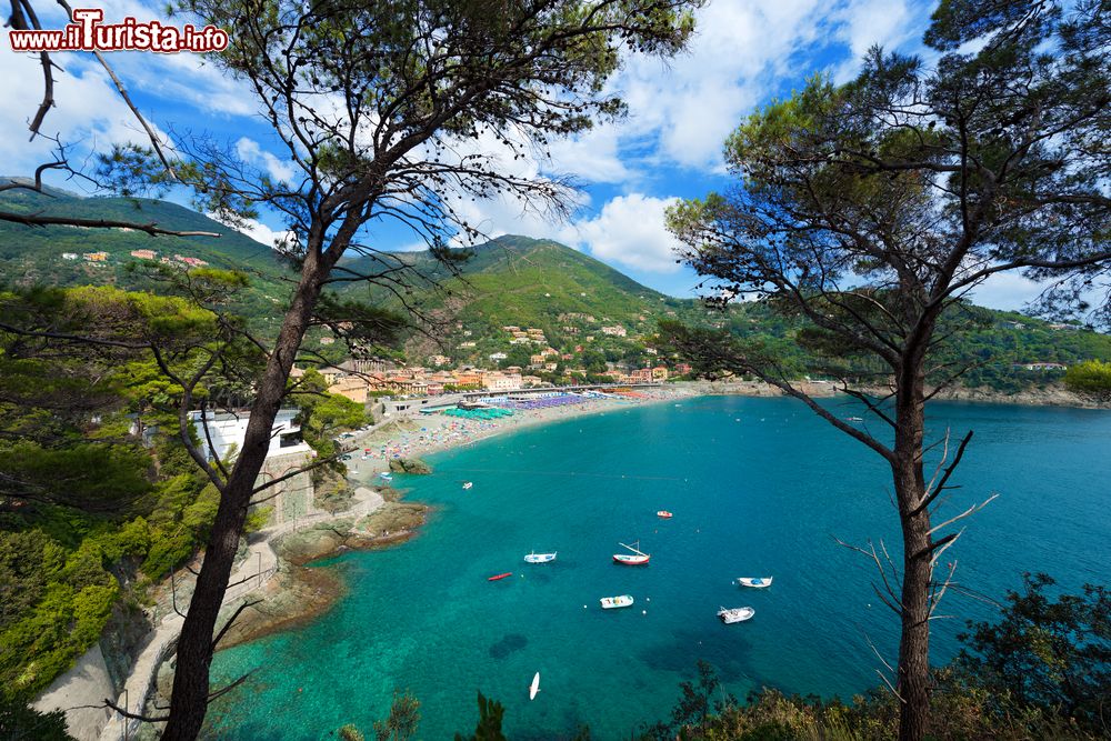 Immagine Borgo di Bonassola, Liguria, Italia. Una graziosa veduta panoramica di questa località il cui nome deriverebbe da Bulnetia o Bodetia, termini che compaiono in alcuni testi dell'alto medioevo.