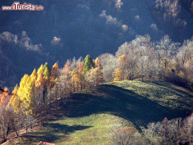 Immagine I boschi intorno a Sordevolo, fotografati in autunno