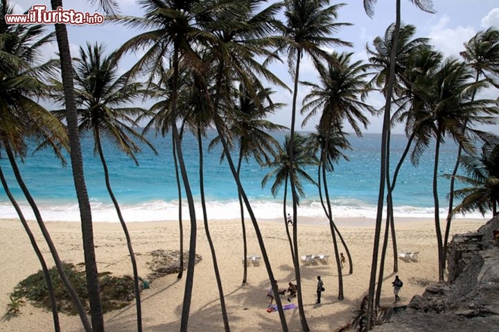 Immagine Bottom bay è conosciuta dai surfisti: la costa est di Barbados subisce il vento costante degli alisei e presenta quindi le onde migliori per il surf - Fonte: Barbados Tourism Authority