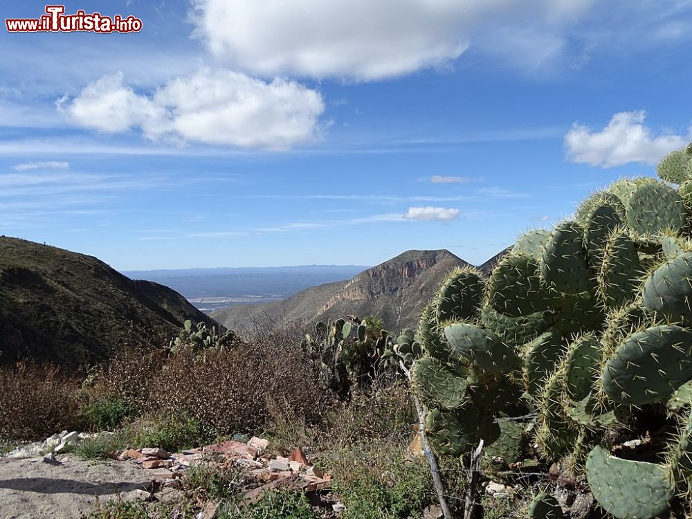 Immagine I cactus e le montagne attorno a Real de Catorce, il Pueblo Mágico nello stato di San Luis Potosí, nel Messico centrale. - © Adam Jones - Wikimedia Commons   