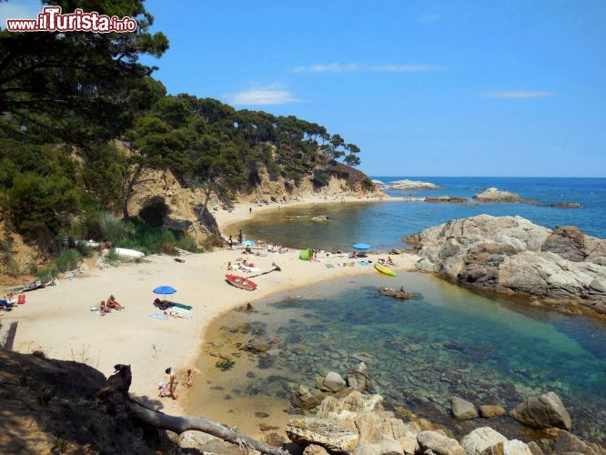 Immagine Cala Estreta, Costa Brava: siamo nell'Area Naturale Protetta di Castell-Cap Roig, dove si susseguono decine di spiagge e calette una più bella dell'altra.