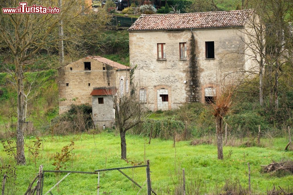 Immagine Campagna in Arpinia fotografata in autunno, provincia di Avellino, Italia.