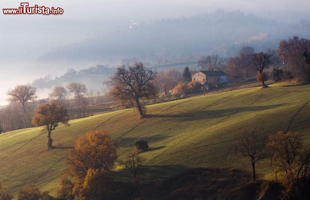 Immagine Campagne marchigiane nei dintorni di Loro Piceno