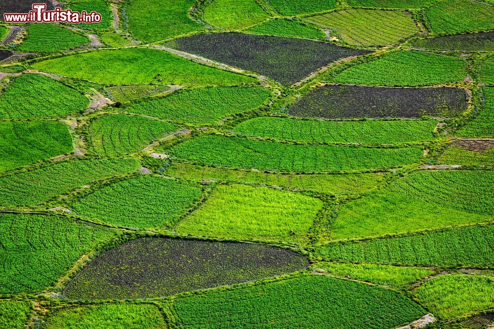 Immagine Campi coltivati nella vallata di Spiti, Himachal Pradesh, India. Questa zona dell'Himachal Pradesh è rimasta isolata dal resto del mondo sino al 1992 quando vi hanno fatto visita i primi viaggiatori.